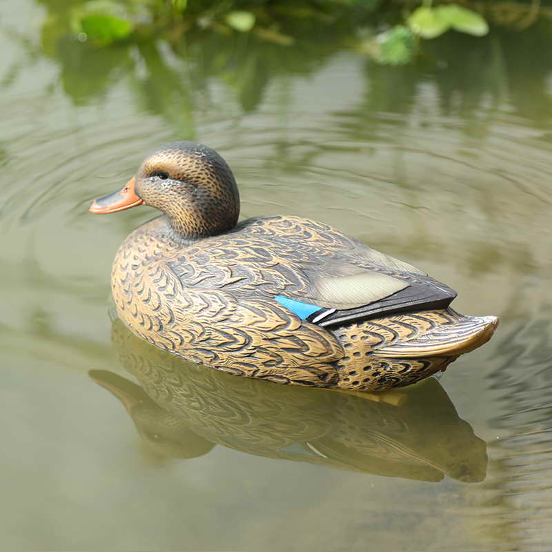 duck-5.jpg