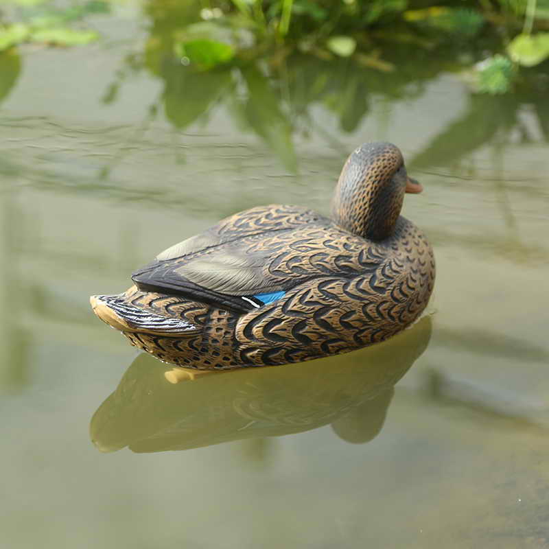 duck-2.jpg