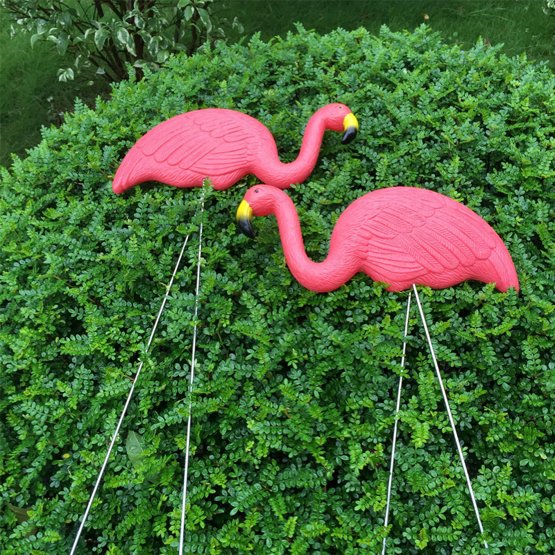 Flamingo baby-3.jpg