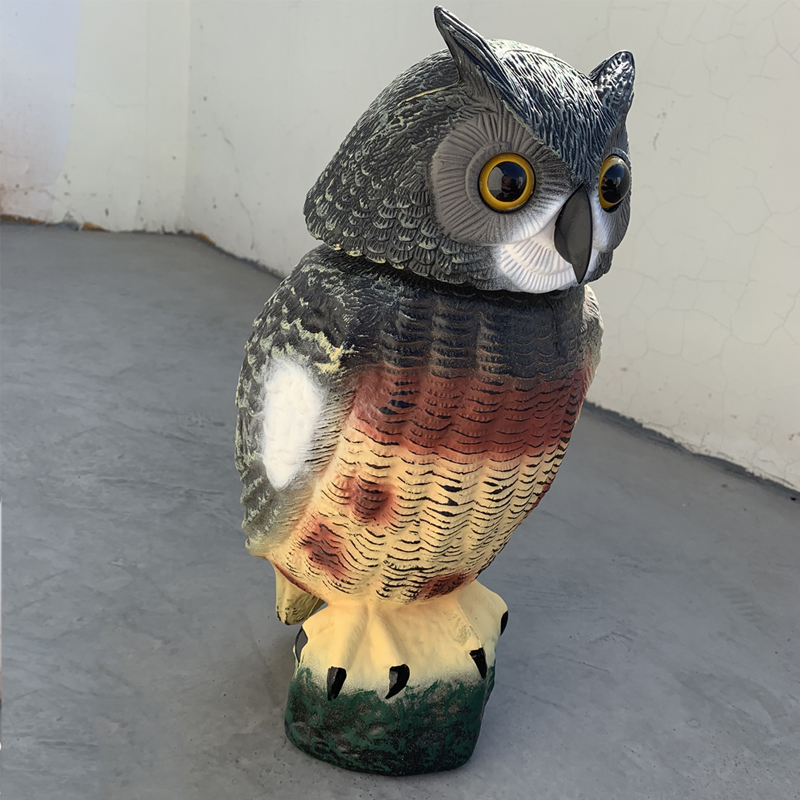 owl-3.jpg